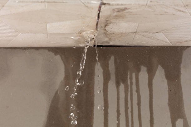 Professional Water Damage Repair technician working in Kress, TX